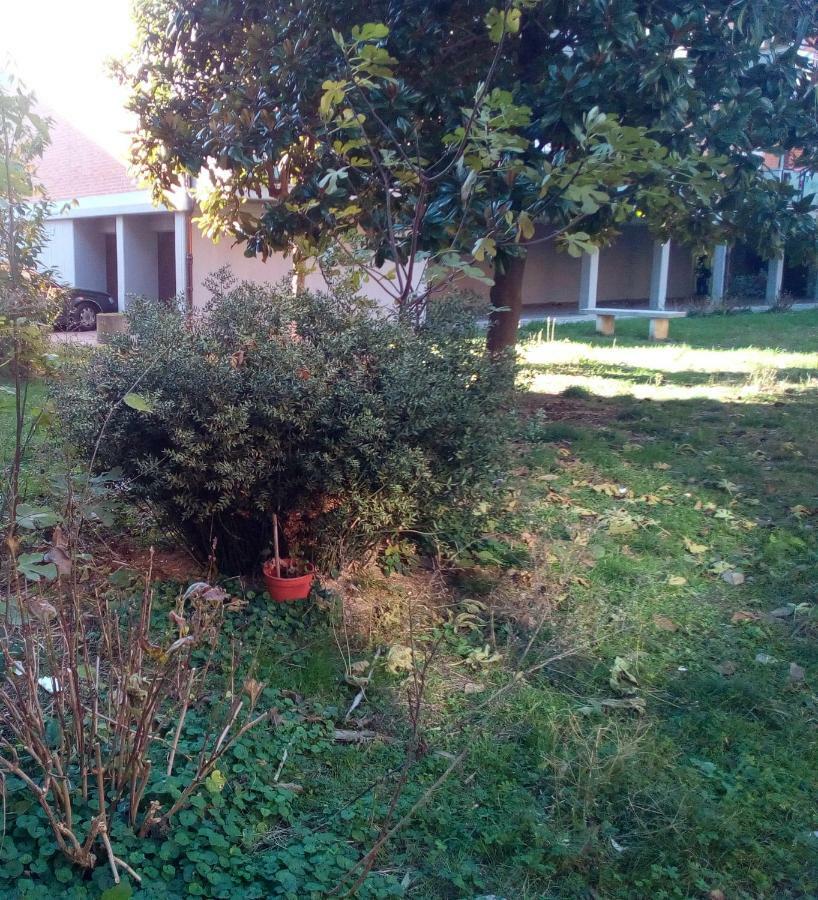 Bed & Breakfast Acquario - Only Rimini